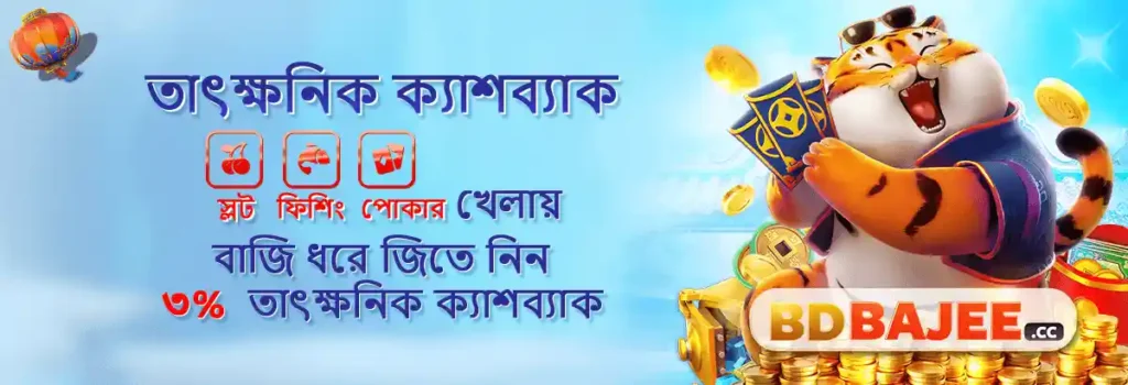 About BDBajee: Your Gateway to Premium Online Gaming